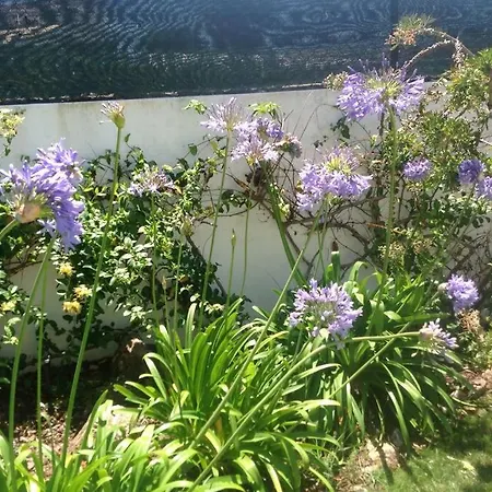 Mandelieu Luz Villa *